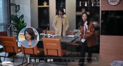 艺人纸质资料,揭秘艺人背后的故事与成就